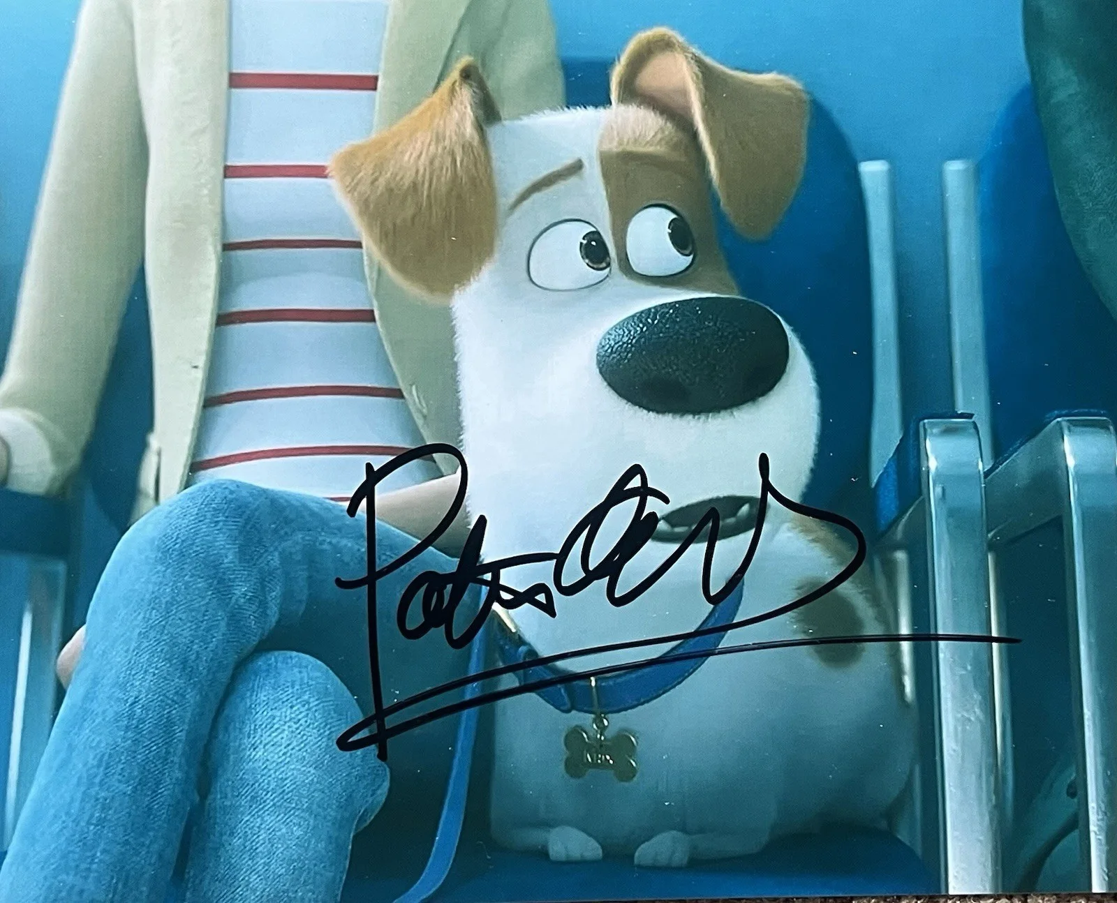 Patton Oswalt — Patton Oswalt Signed 8x10 Photo Pets Life 2 Max With Cone Comedian COA