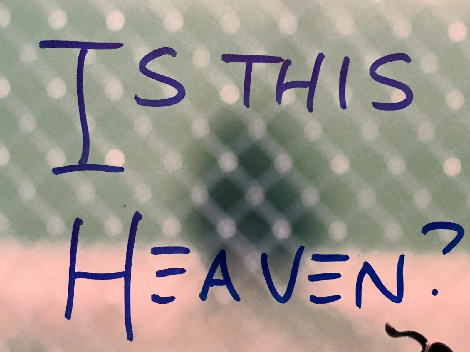Dwier Brown — DWIER BROWN Signed 11x14 Field of Dreams Photo "Is this Heaven?" JSA COA AN46461, изображение 4