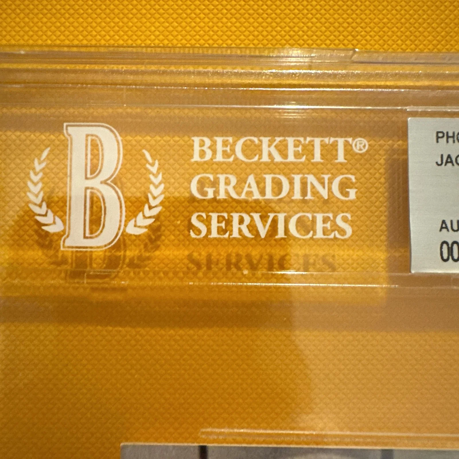 Jacqueline Bisset Autograph Photo Beckett BAS Slabbed B&W Original Movie Star, изображение 5
