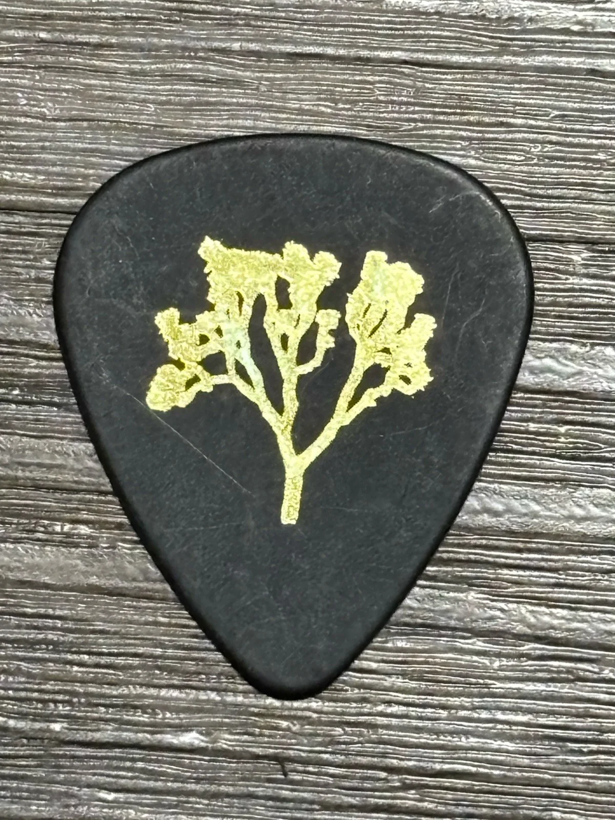 U2 Guitar Pick, image 2