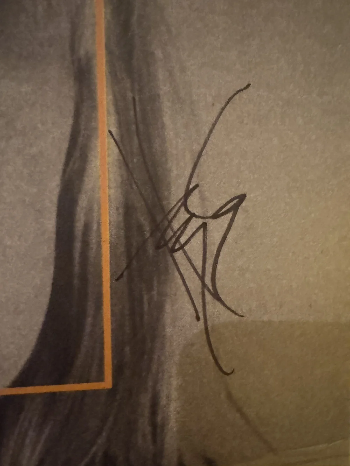 Hayley Williams (In Hand) Signed Ego Death At A Bachelorette Party Vinyl, image 2