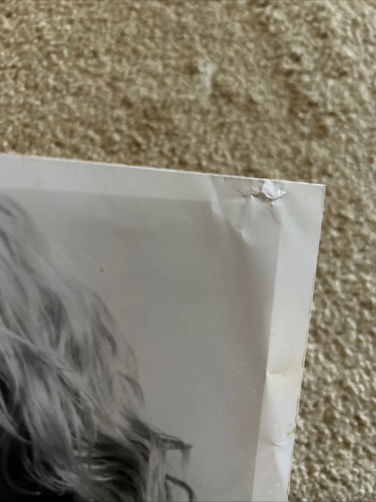 Jessica Simpson — Signed 8 X 10 Jessica Simpson Print (signed In Personal In Front Of Me), image 3
