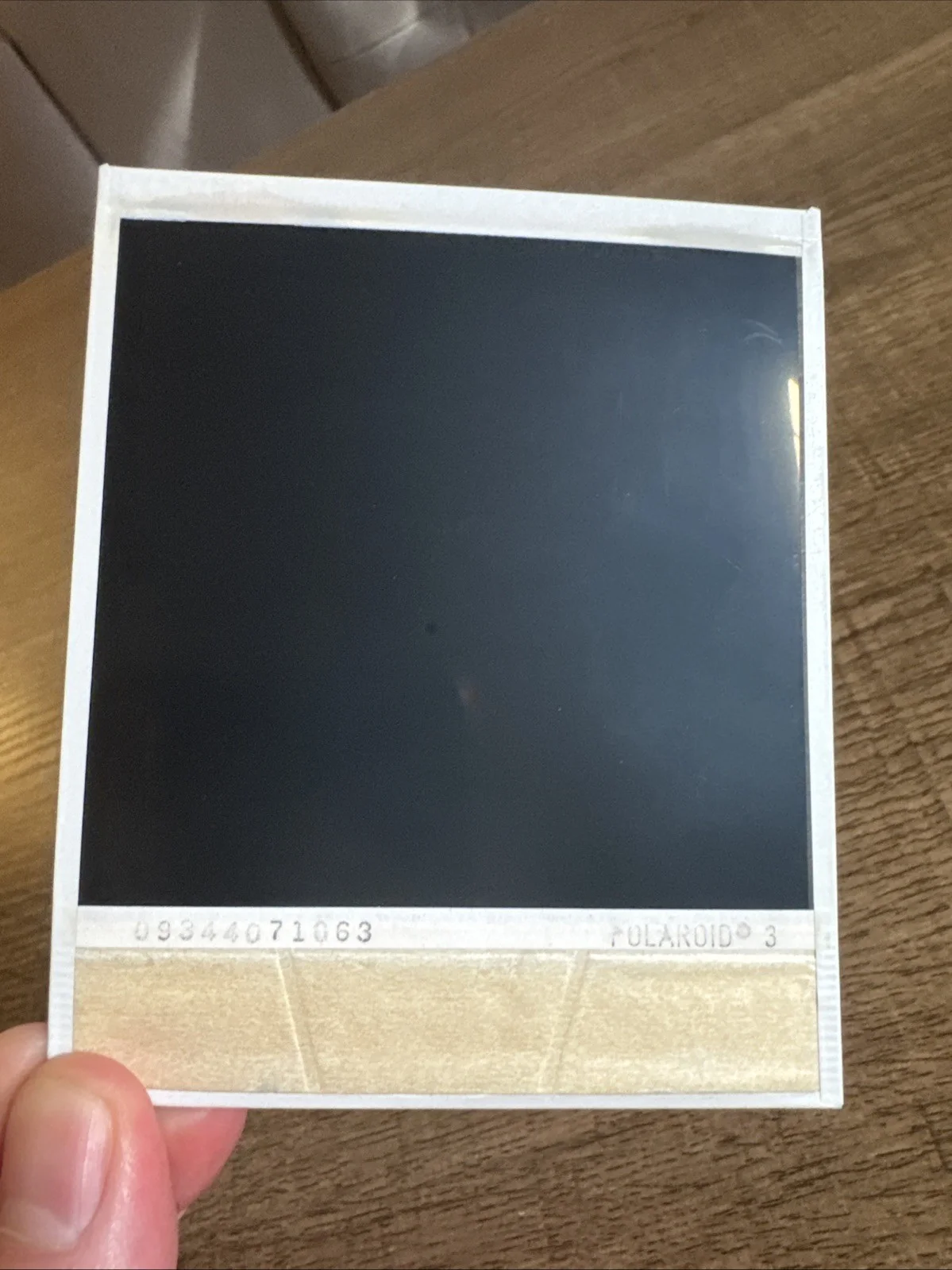 L7 Dee Plakas Signed Polaroid, image 2