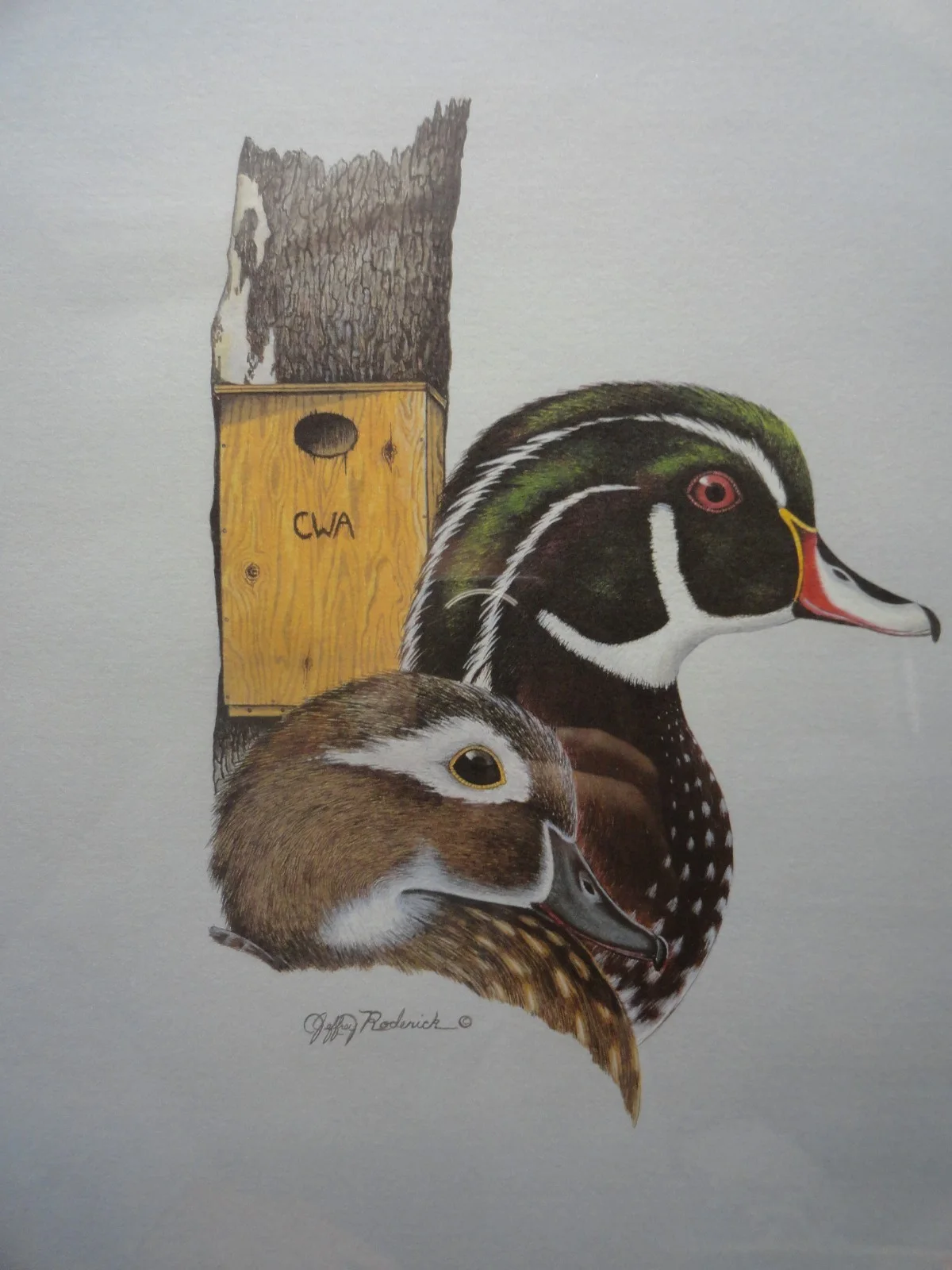 The california wood duck program Jeffrey Roderick Framed Print Signed 47/500, image 2