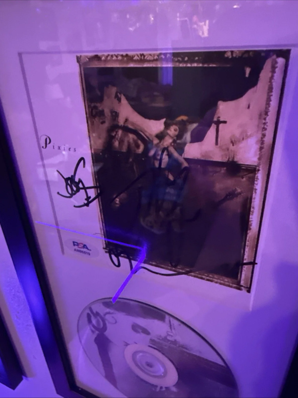 Pixies Signed Surfer Rosa CD Framed Display PSA Auth Autographed Album, image 2