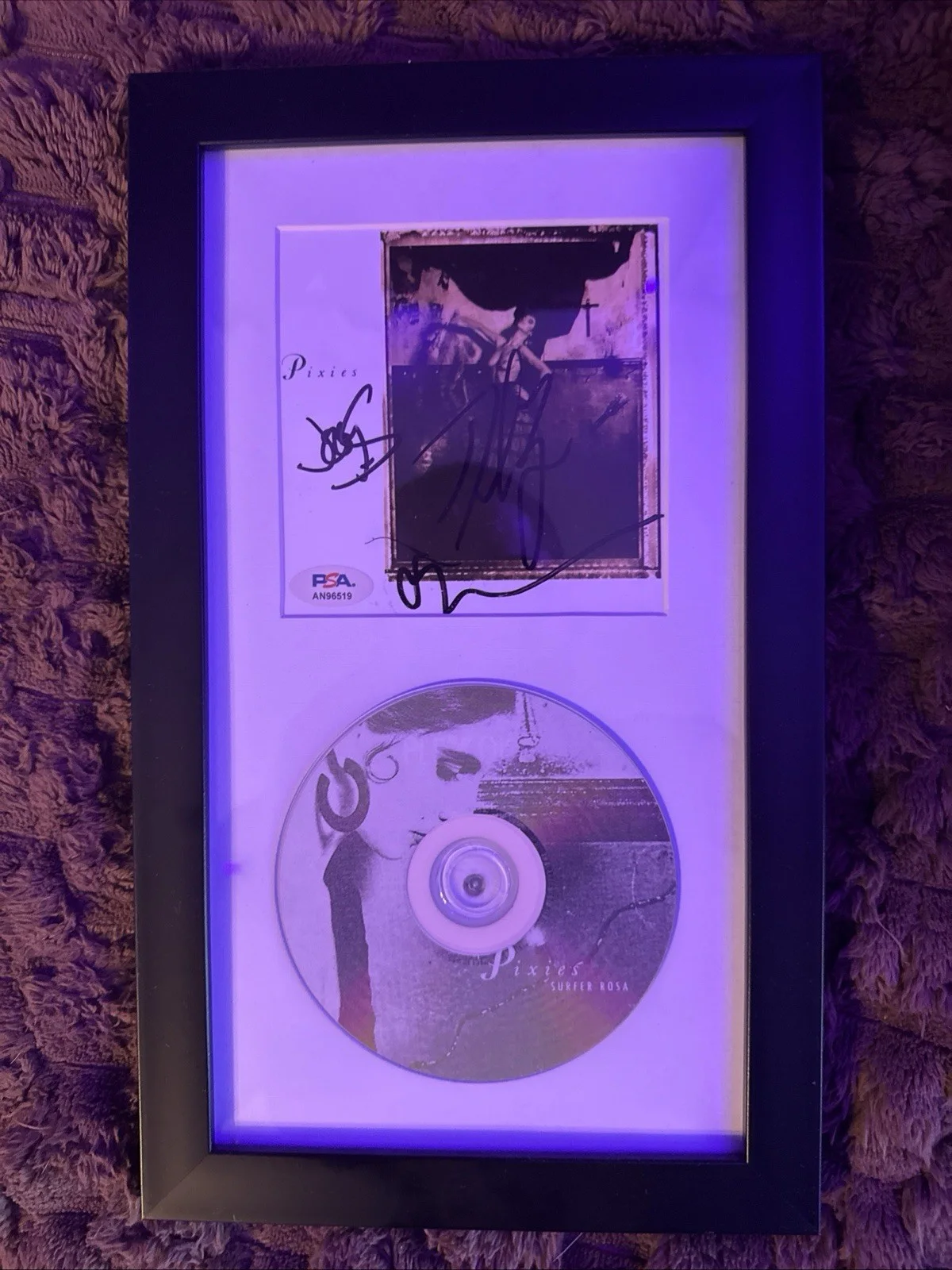 Pixies Signed Surfer Rosa CD Framed Display PSA Auth Autographed Album, image 3
