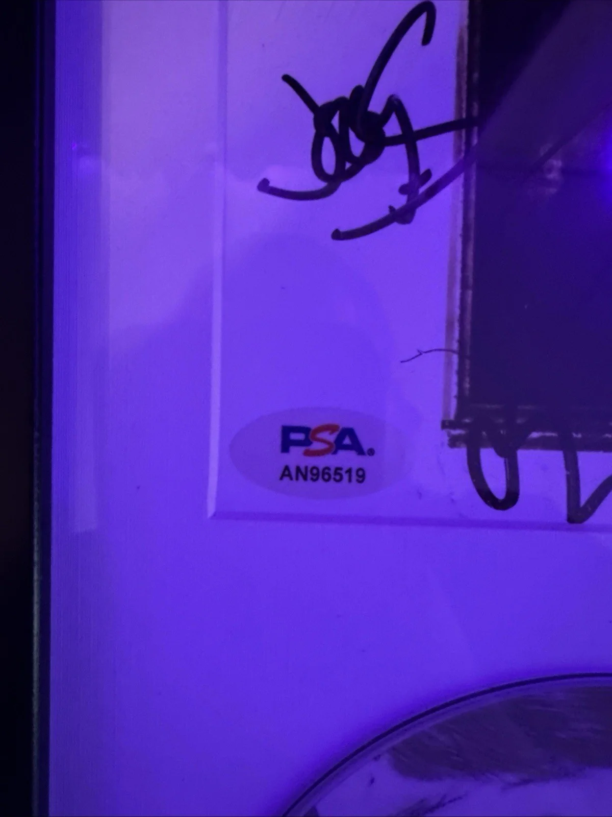 Pixies Signed Surfer Rosa CD Framed Display PSA Auth Autographed Album, image 4