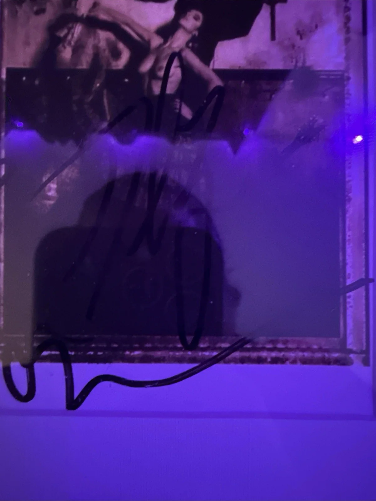 Pixies Signed Surfer Rosa CD Framed Display PSA Auth Autographed Album, image 5