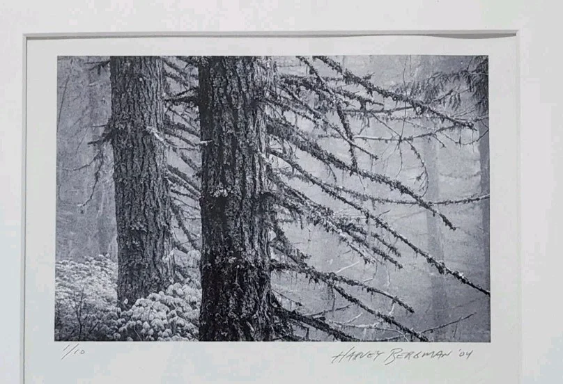 Harvey Bergman — Harvey Bergman Signed Photo 1/10 Limited Edition B&W Winter Forest 2004 17"x14", изображение 2