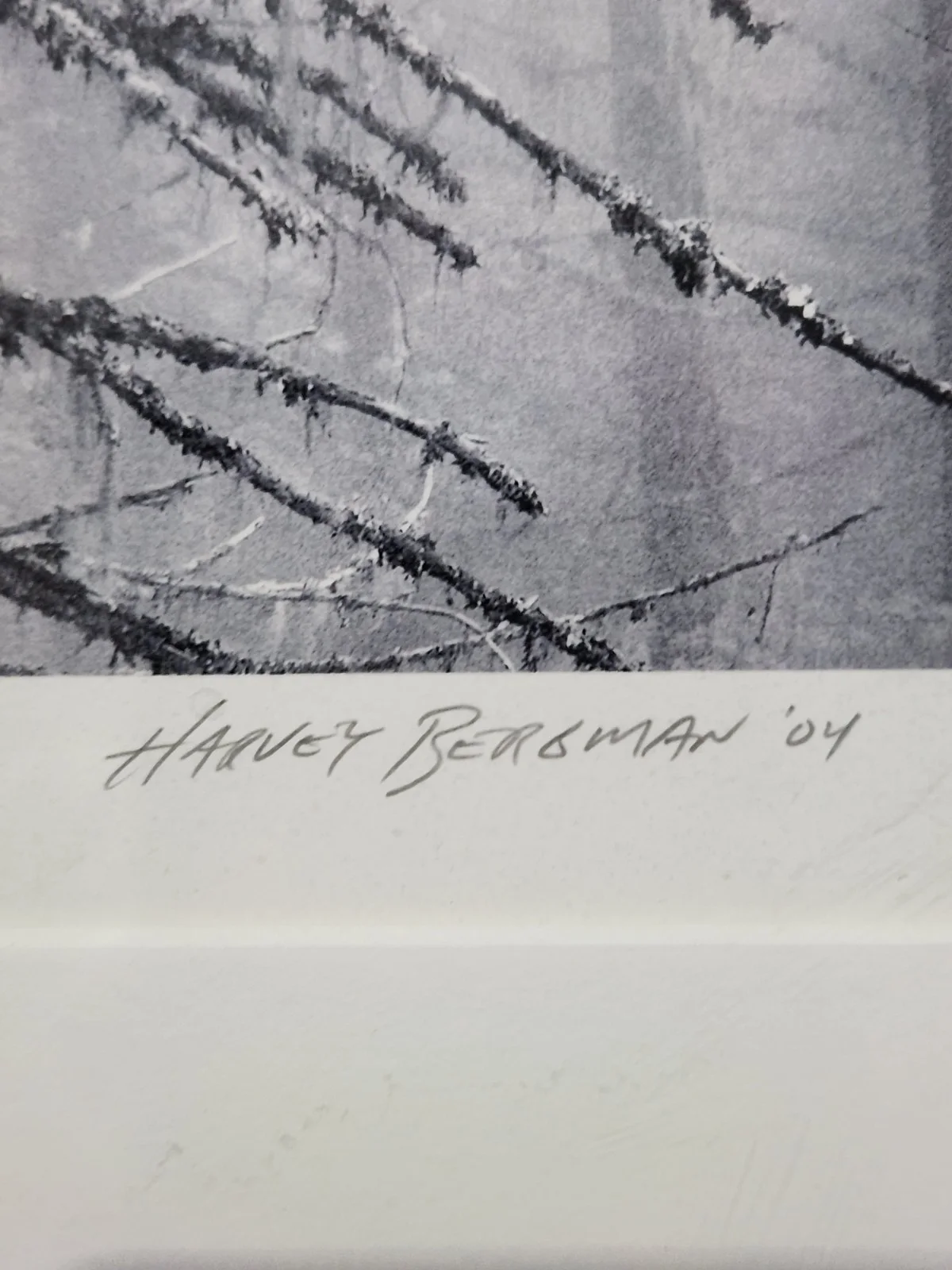 Harvey Bergman — Harvey Bergman Signed Photo 1/10 Limited Edition B&W Winter Forest 2004 17"x14", изображение 3