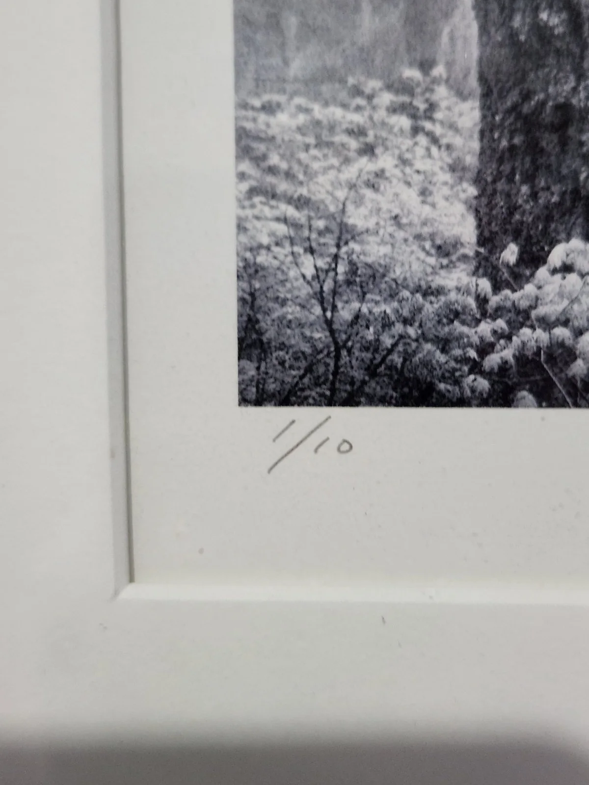 Harvey Bergman — Harvey Bergman Signed Photo 1/10 Limited Edition B&W Winter Forest 2004 17"x14", изображение 4