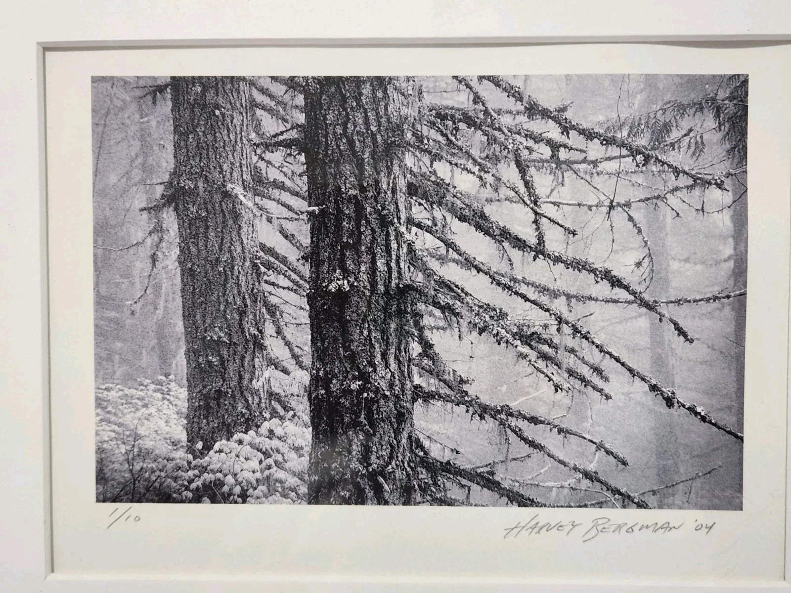 Harvey Bergman — Harvey Bergman Signed Photo 1/10 Limited Edition B&W Winter Forest 2004 17"x14", изображение 5