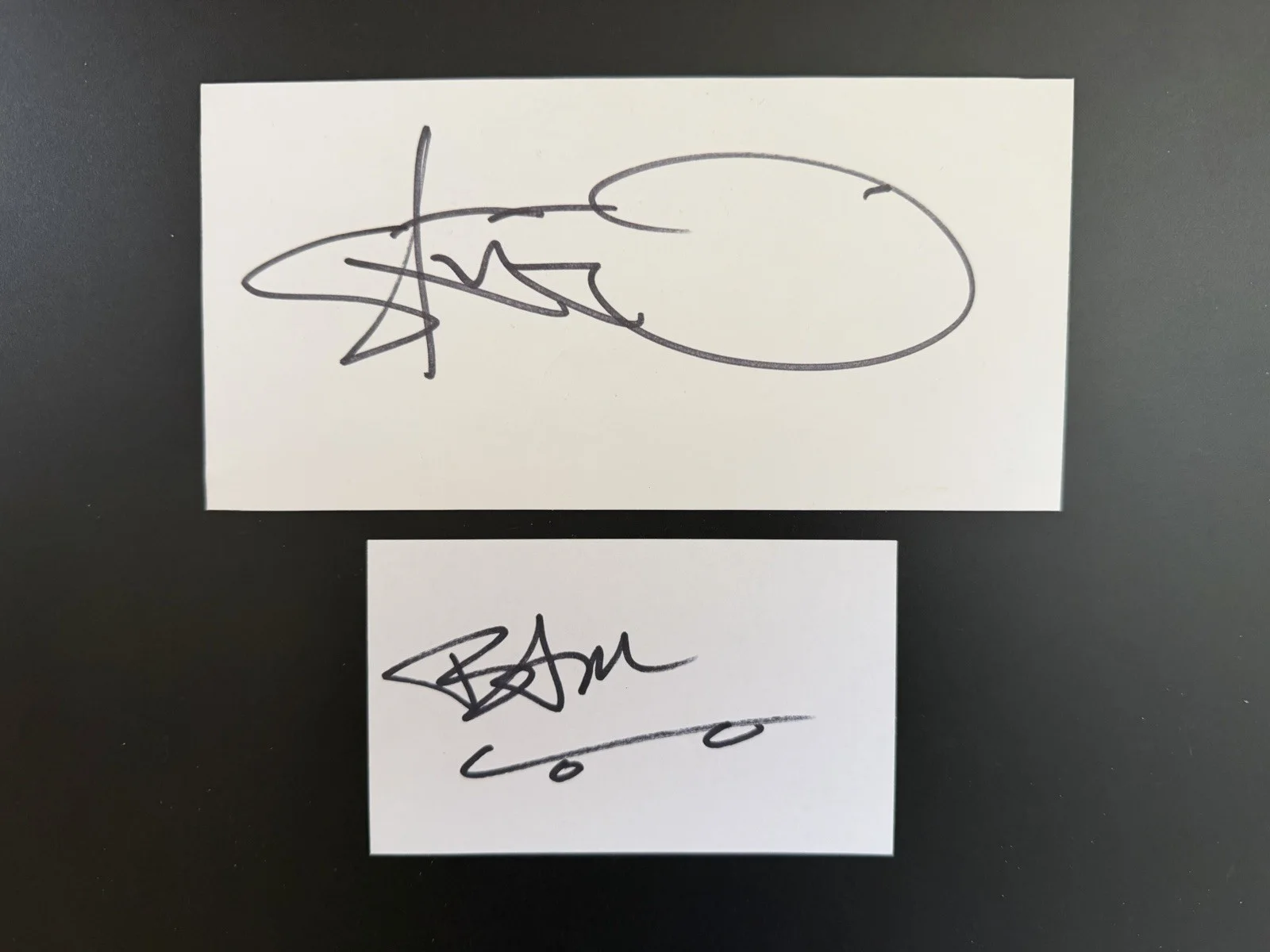 Bam Margera + Steve-O Signed Cut Lot (Jackass) – 3x5 Card + Book Cut, изображение 2
