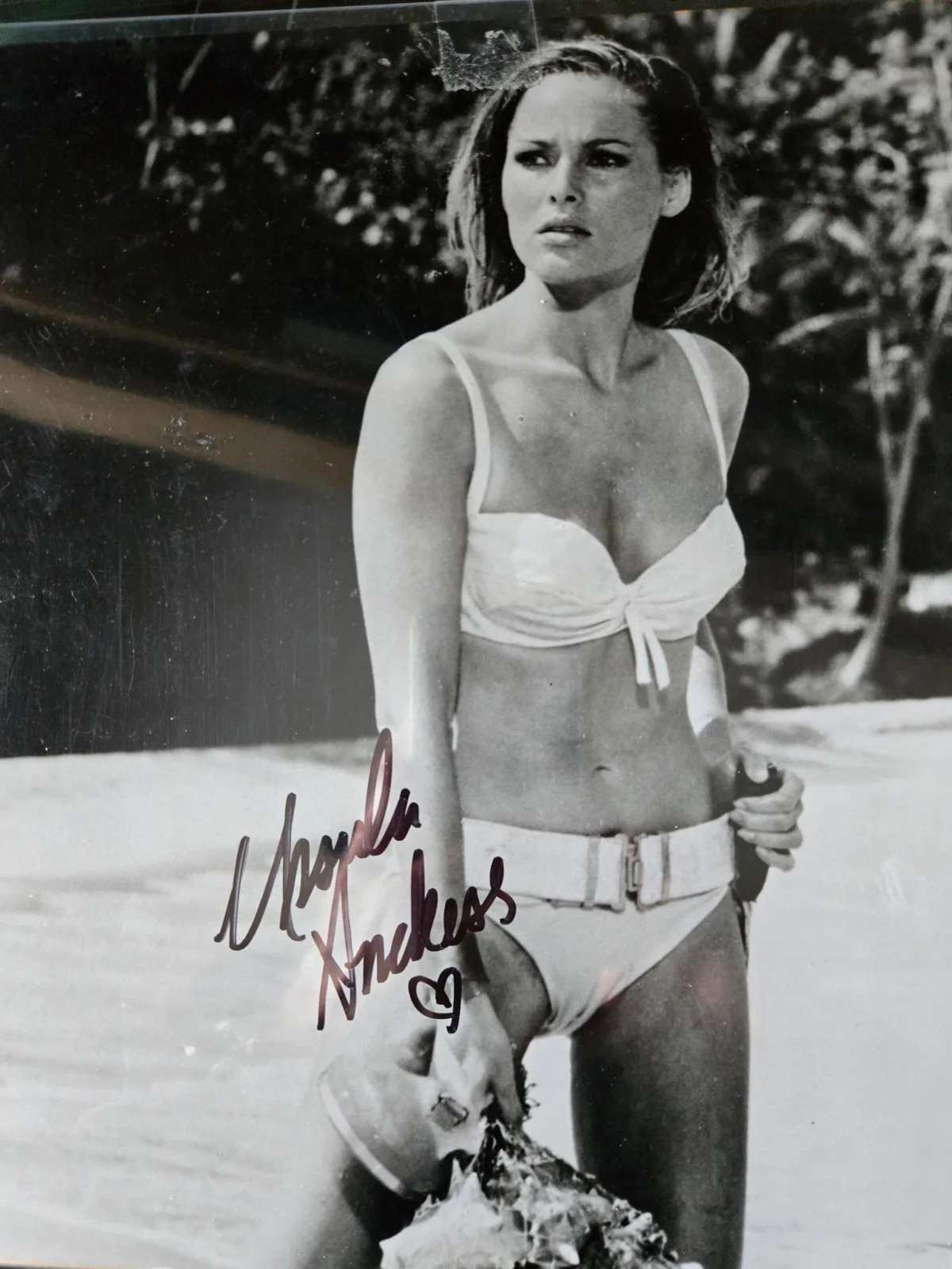 Ursula Andress — Vintage (1962) DR. NO Ursula Andress signed 8x10