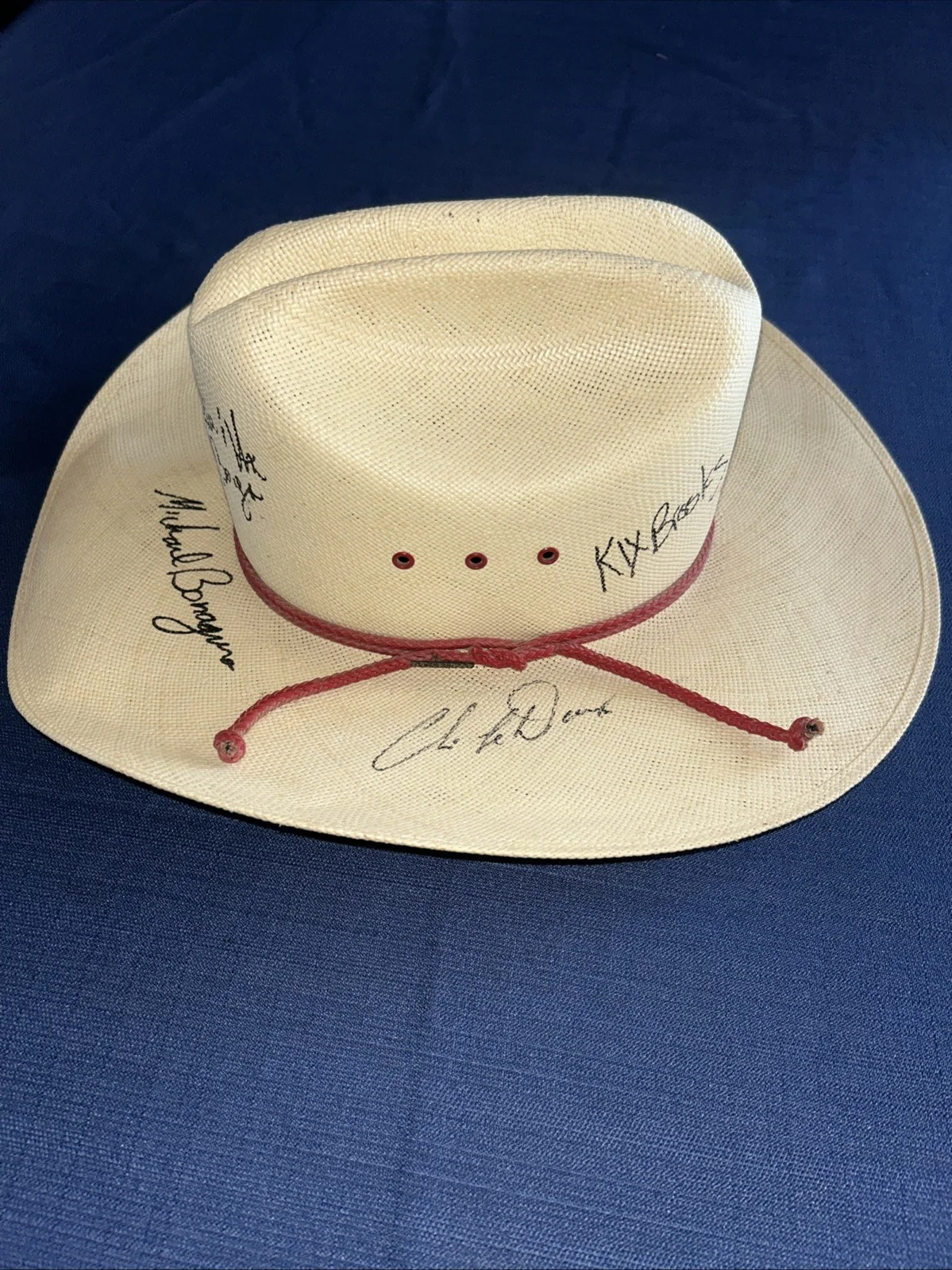 Autographed Resitol Cowboy Hat Brooks & Dunn Band Ballie & The Boys Chris LaDoux, изображение 2
