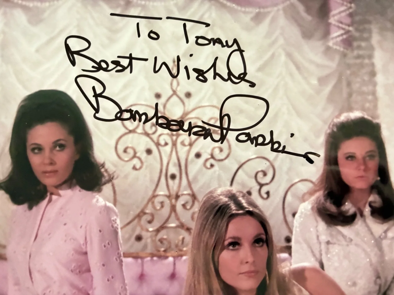 Barbara Parkins — Valley of the Dolls Signed Photo BARBARA PARKINS Sharon Tate Patty Duke 8x10, изображение 2