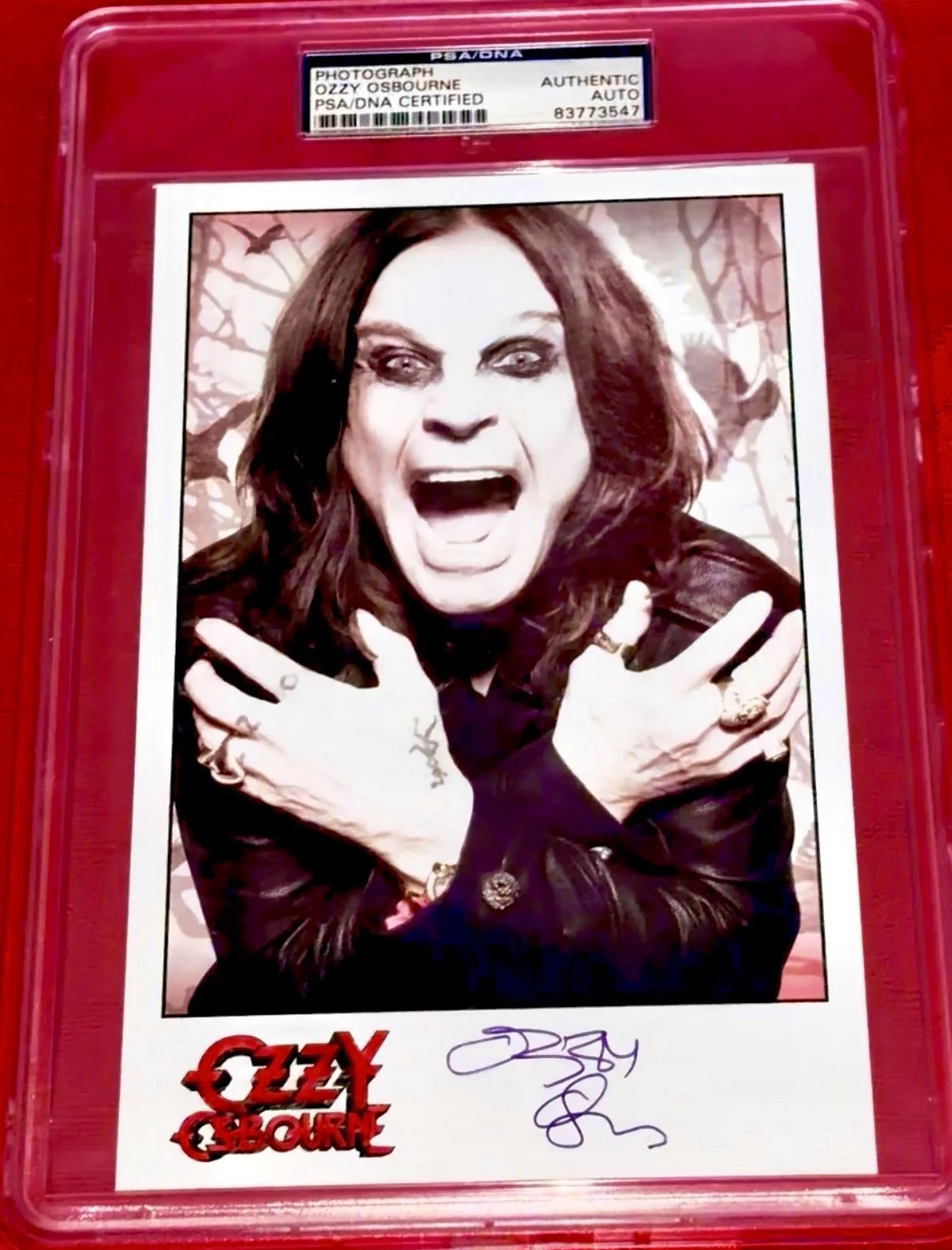 Ozzy Osbourne Black Sabbath SIGNED Photo AUTO Authentic Autograph PSA/DNA PSA 🦇, image 2