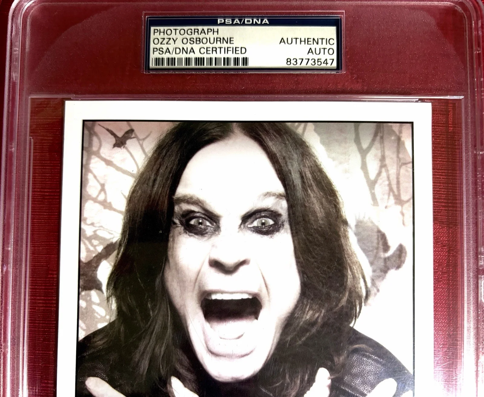 Ozzy Osbourne Black Sabbath SIGNED Photo AUTO Authentic Autograph PSA/DNA PSA 🦇, image 3