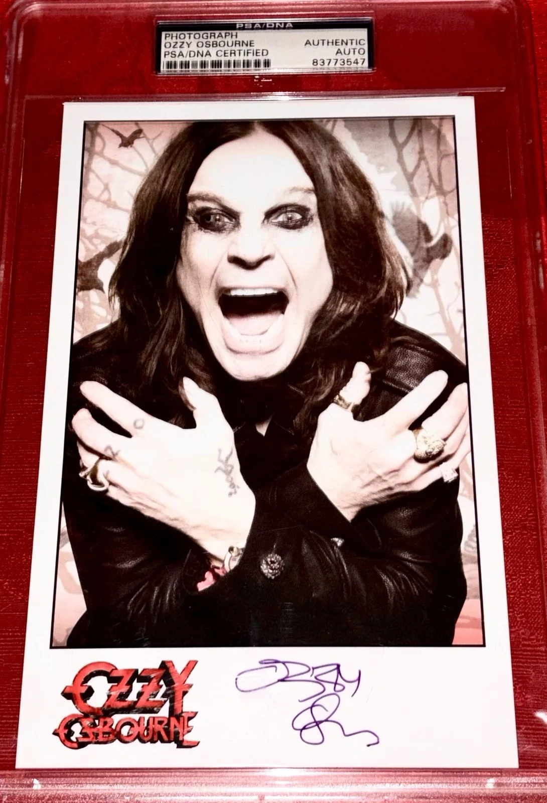 Ozzy Osbourne Black Sabbath SIGNED Photo AUTO Authentic Autograph PSA/DNA PSA 🦇, image 4