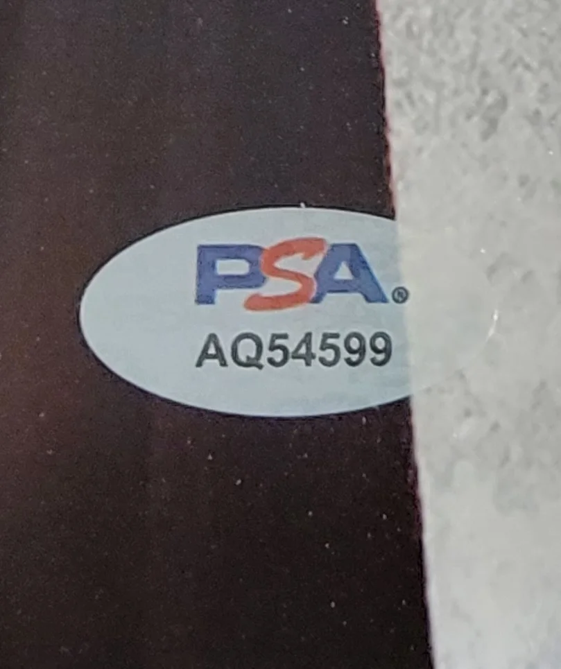 David Dastmalchian — David Dastmalchian signed 8x10 photo PSA DNA autograph Street Fighter poster, изображение 2