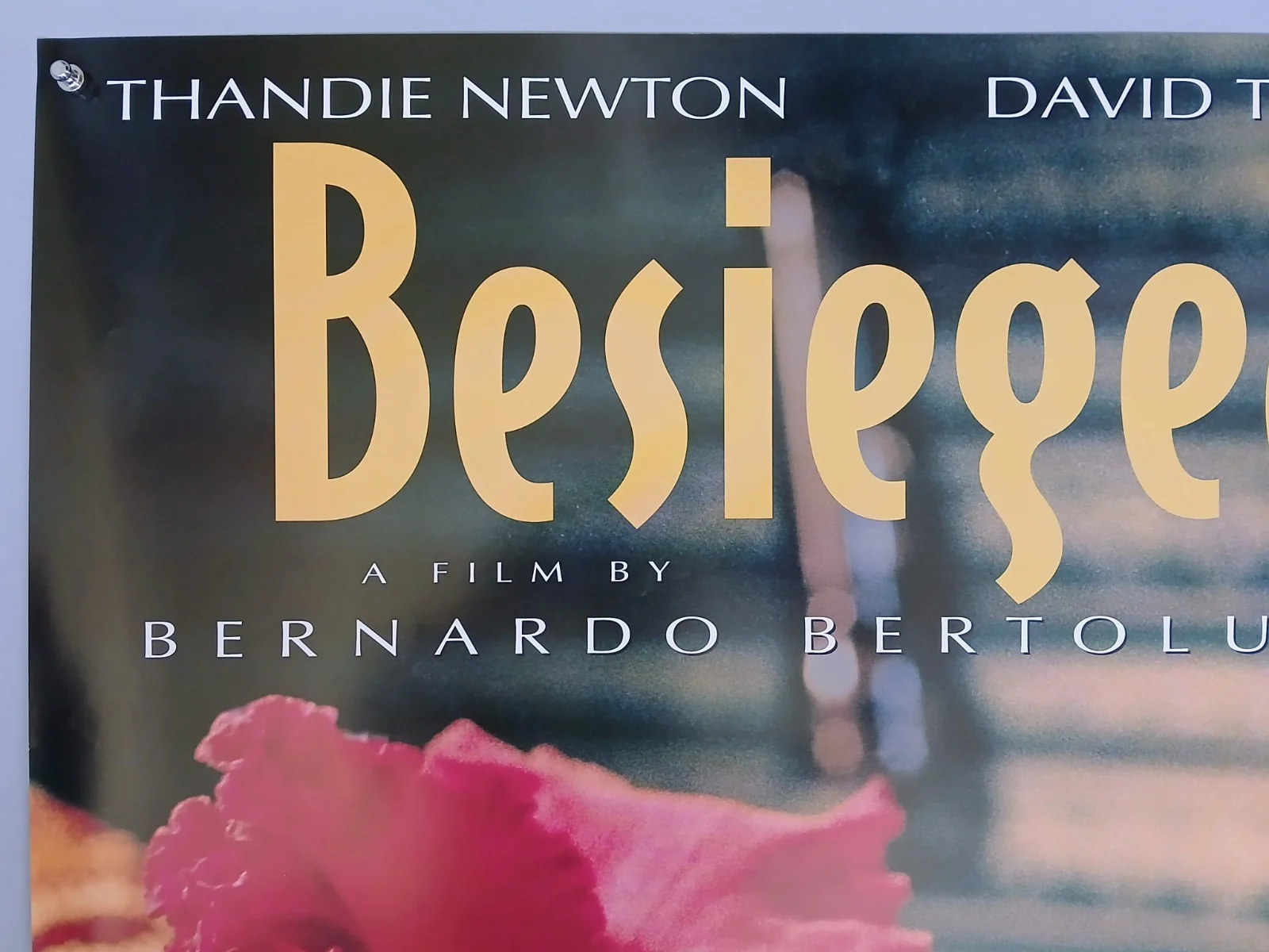 BESIEGED (1999) original UK quad poster - Bertolucci, Thandie Newton, Thewliss, image 2