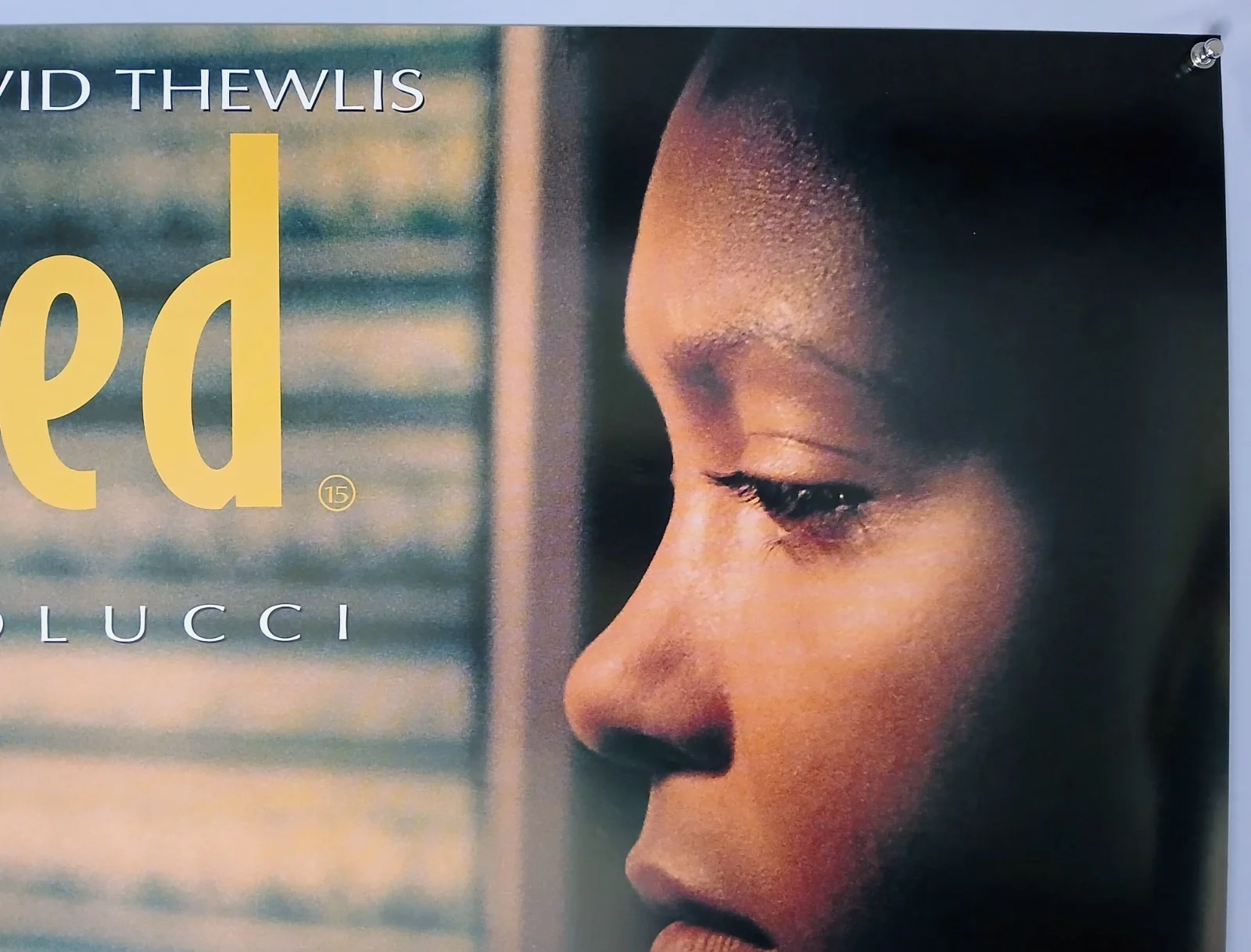 BESIEGED (1999) original UK quad poster - Bertolucci, Thandie Newton, Thewliss, image 3
