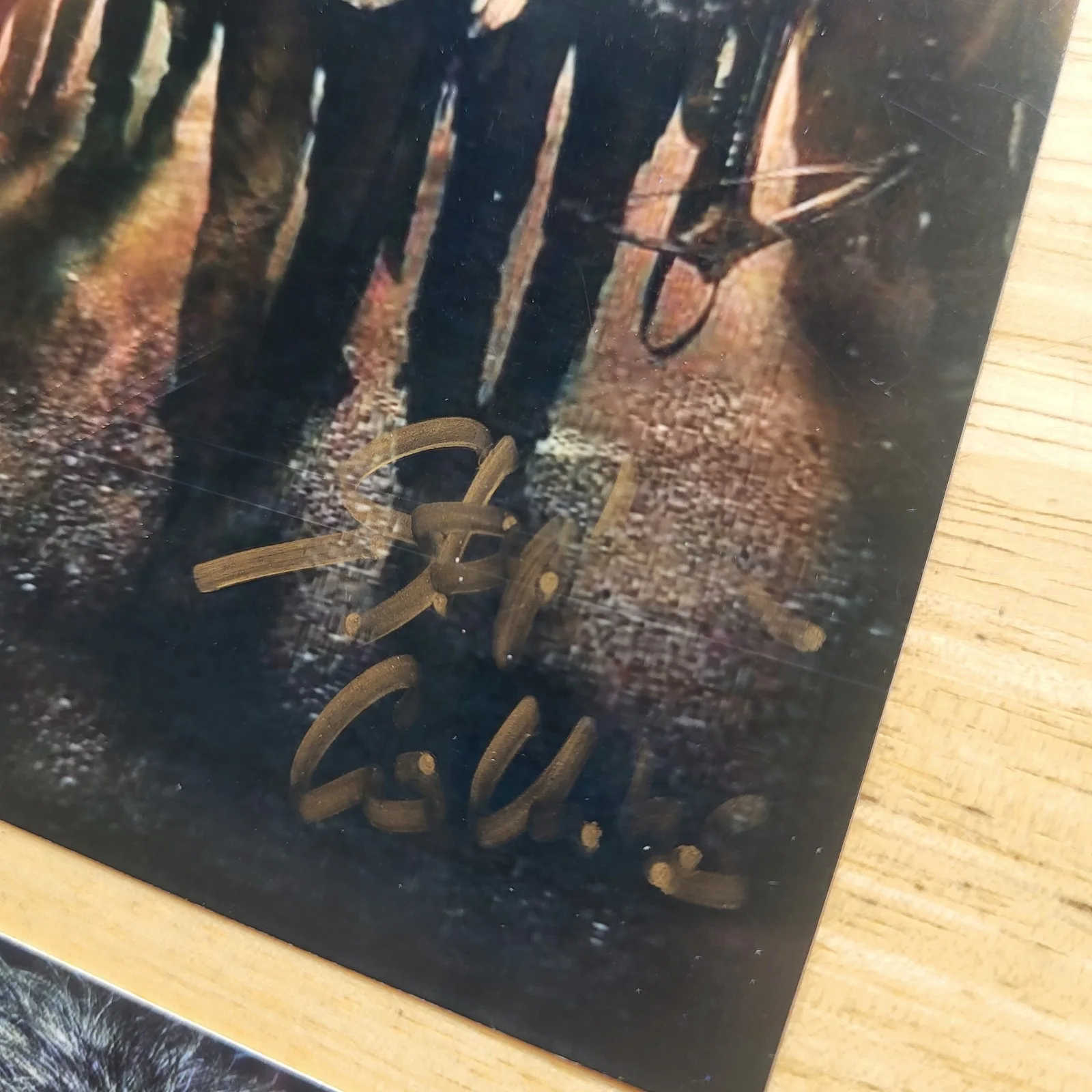 Stephen Collins — Stephen Collins 7th Heaven Revolution Hand Signed 4x6 Autograph Photos, image 2