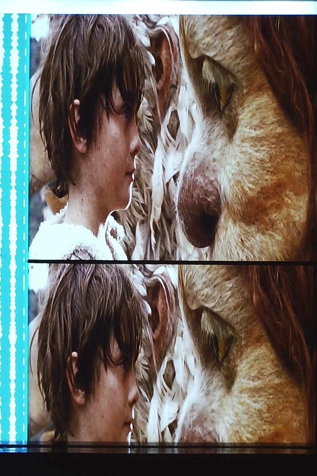 Where Wild Things Are 35mm Film Cells Strips - 5 Strips of 5 Cells FREE P&P, изображение 3