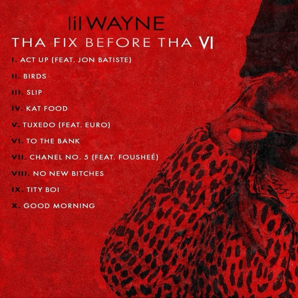 Lil Wayne Autograph Vinyl Rare Album, image 3