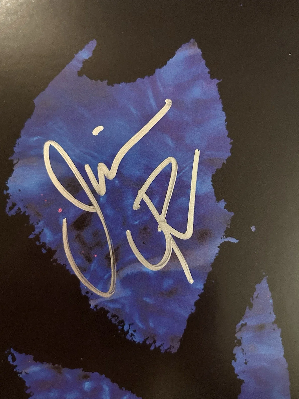 Pennywise Jim Lindberg Signed Vinyl Record 2005 Remaster Album Proof Pics Auto, image 2