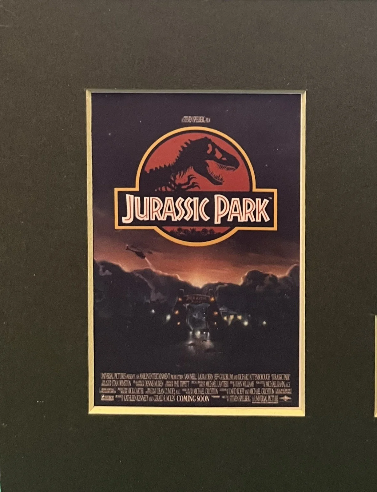 JURASSIC PARK. . 35mm Film Cell Mounted Display, image 2