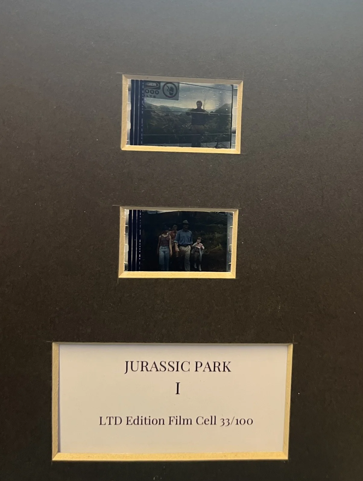 JURASSIC PARK. . 35mm Film Cell Mounted Display, image 3
