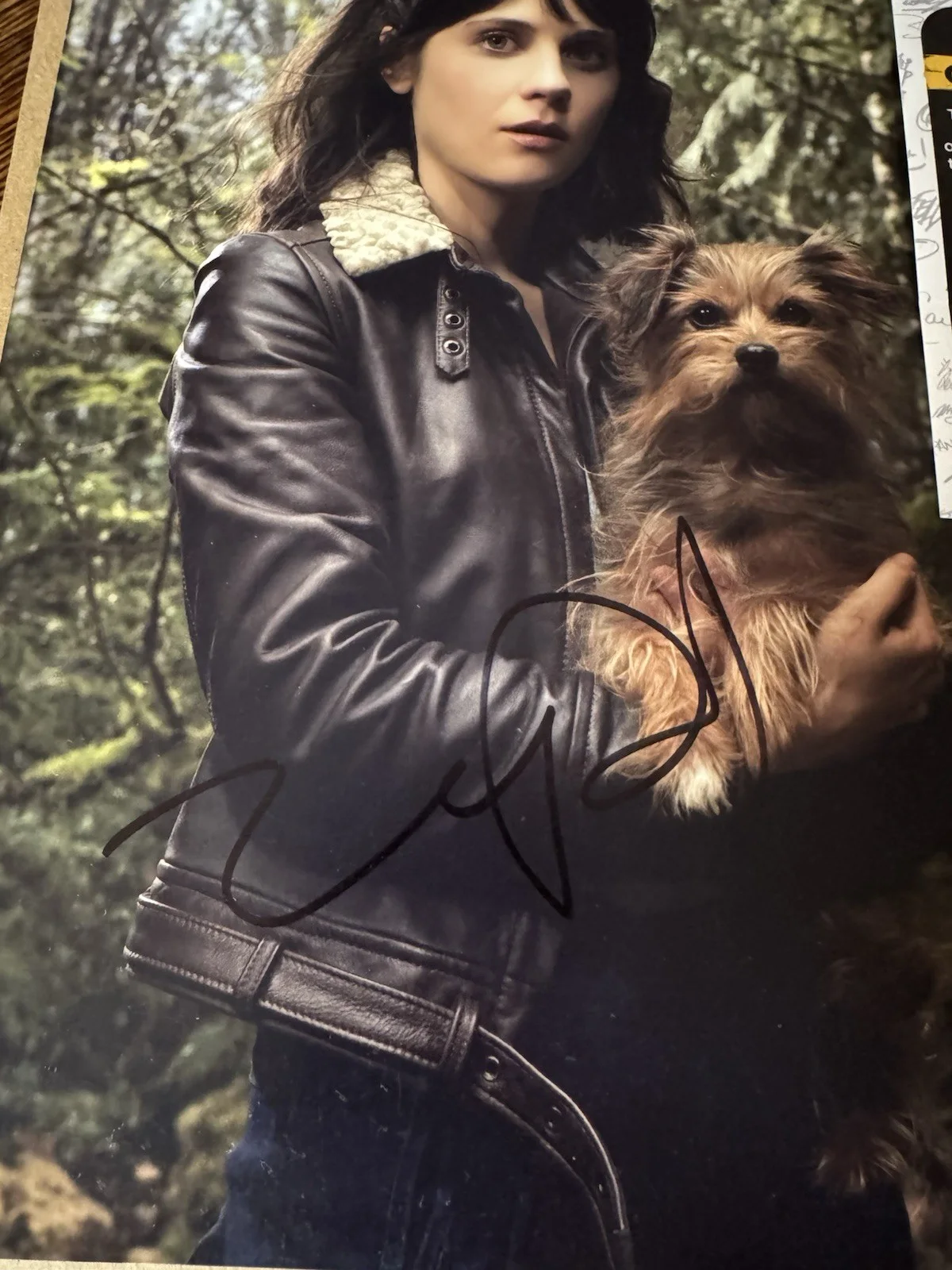 Zooey Deschanel — Zooey Deschanel SIGNED 8x10 OZ Photo JSA Autograph New Girl Dorothy Zoey, изображение 3