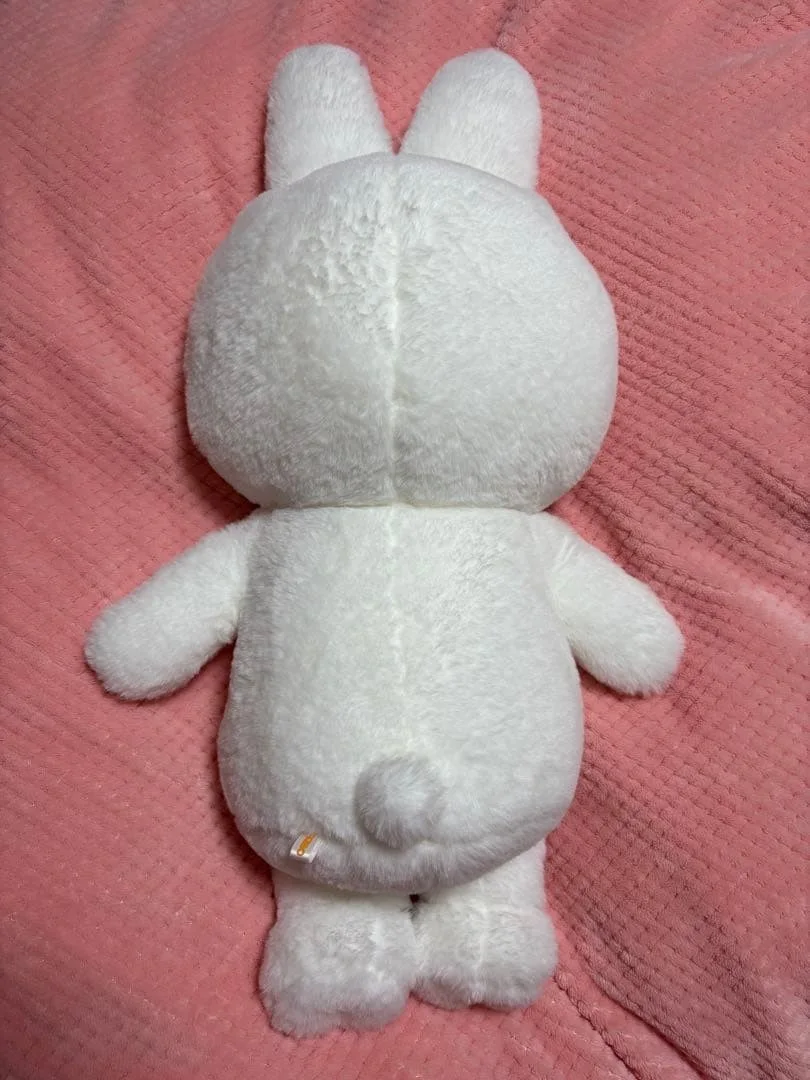 Lee Know Stray Kids SKZOO Leebit Plush Doll Teddy Bear Ver. W/ Passport 60cm, image 2