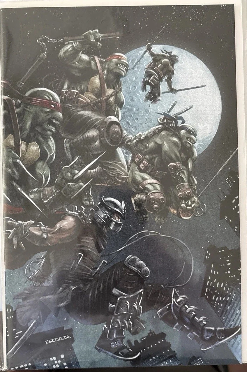 TMNT Casey Jones #1 Coa + #67 Unknown #1 Escorza #8 Fornes Variants IDW TMNT Lot, изображение 2