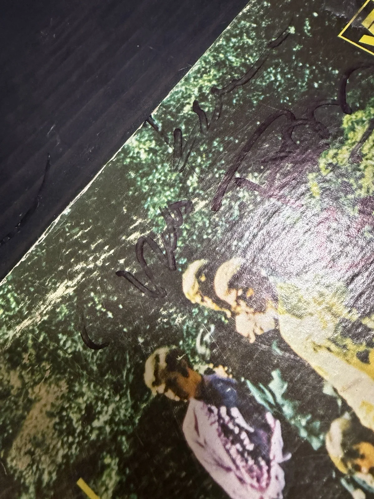 The Association Signed Greatest Hits LP Autographed X5, image 5