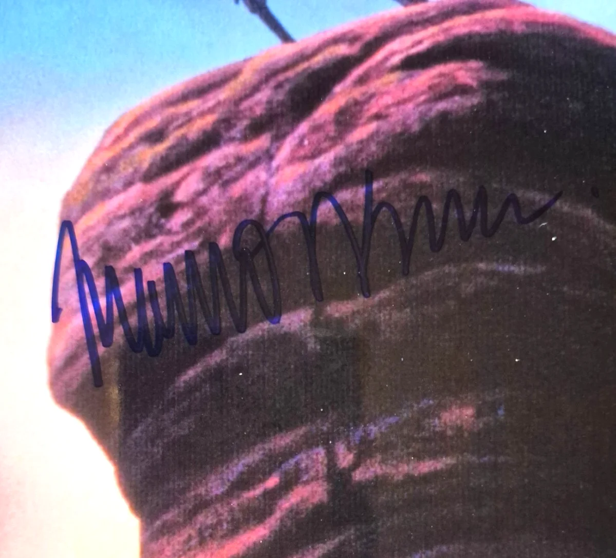 Matthew Broderick — MATTHEW BRODERICK SIGNED AUTOGRAPHED 8X10 PHOTO DISNEY LION KING SIMBA BAS COA, изображение 2