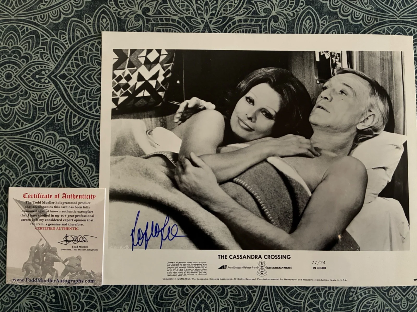 Sophia Loren — SOPHIA LOREN Signed Original 8x10 Photo The Cassandra Crossing COA Authenticity, изображение 4