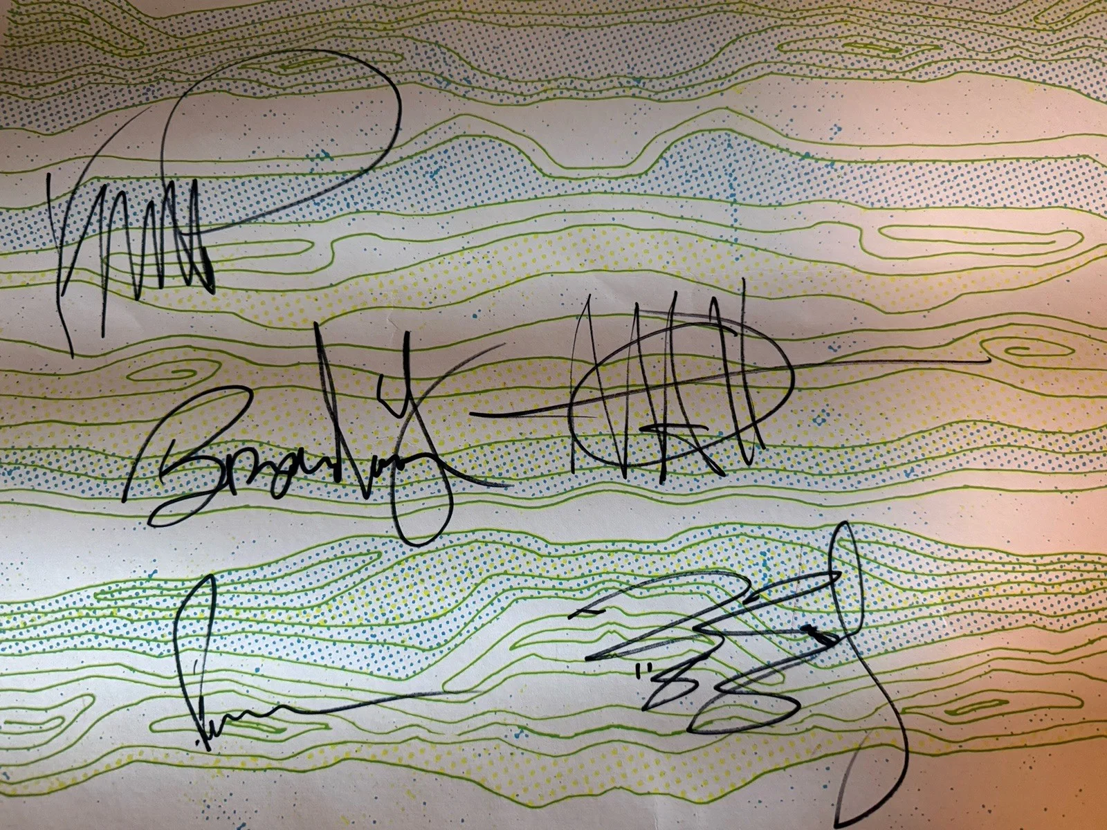 Delta Spirit Signed Maha Music Festival Poster August 11 Original, image 2