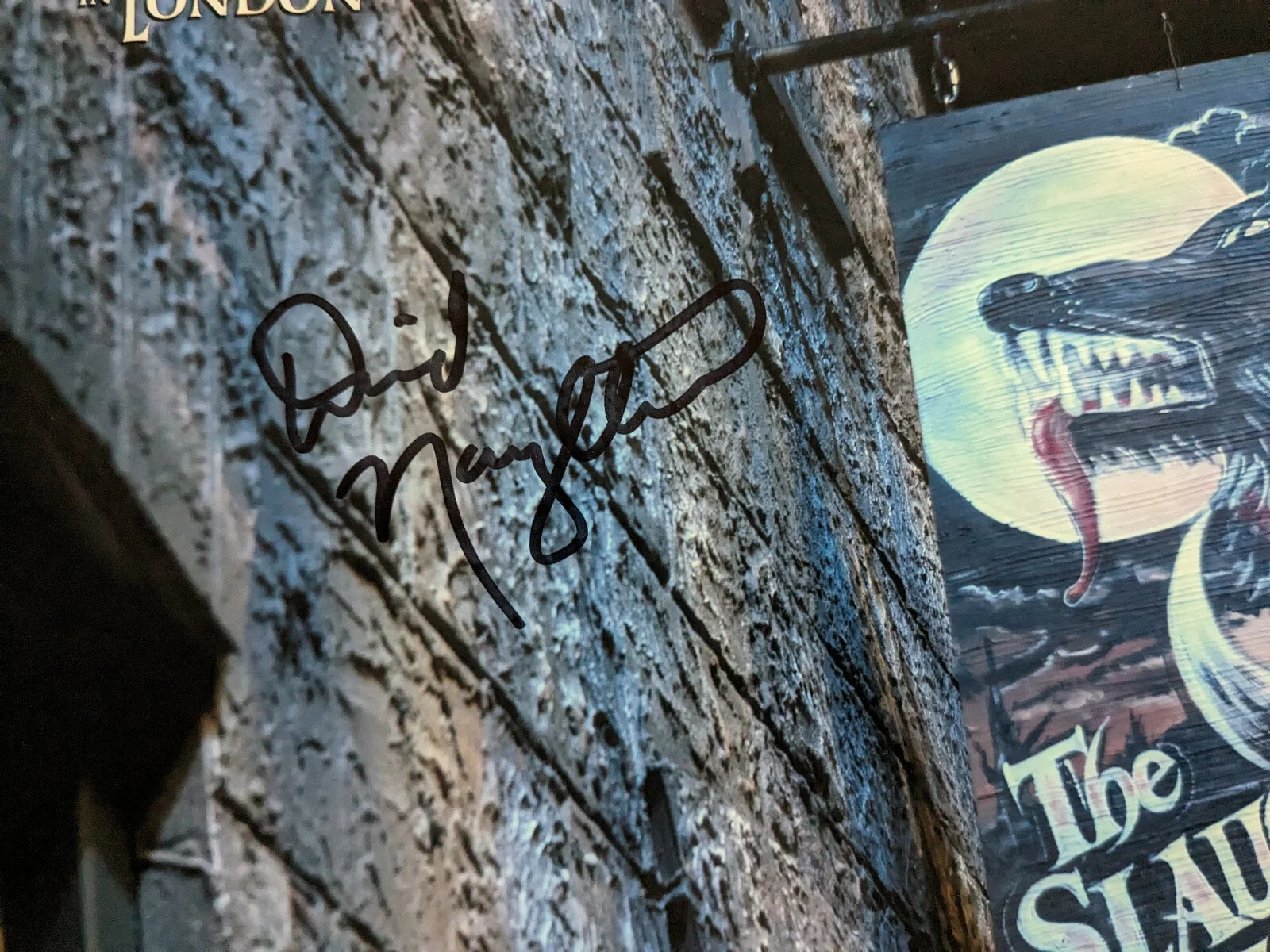 David Naughton — David NAUGHTON Signed American Werewolf in London 8x10 PHOTO Autograph BAS JSA F, изображение 2