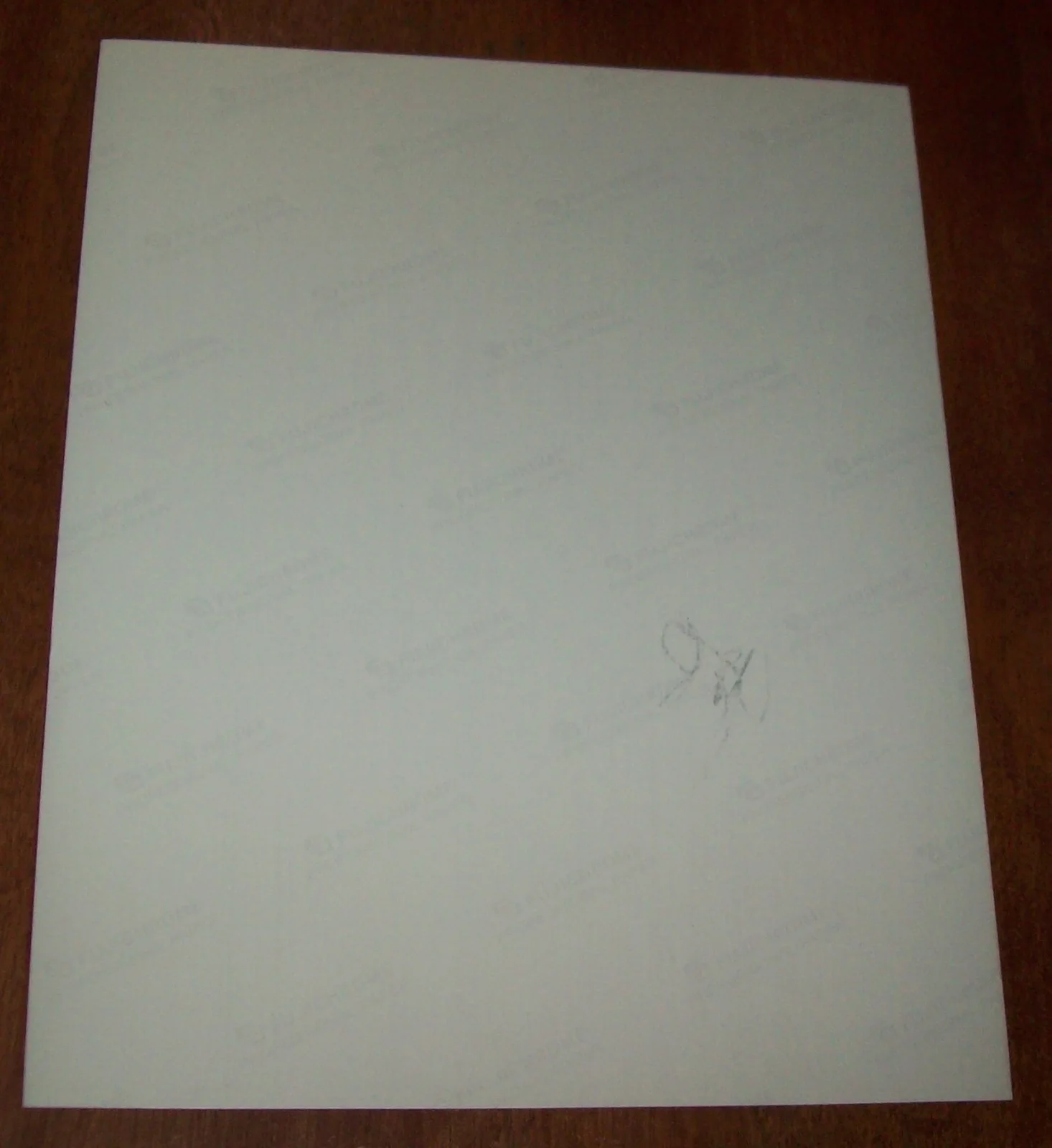 Rob Morrow Autographed 8x10 Picture, image 2