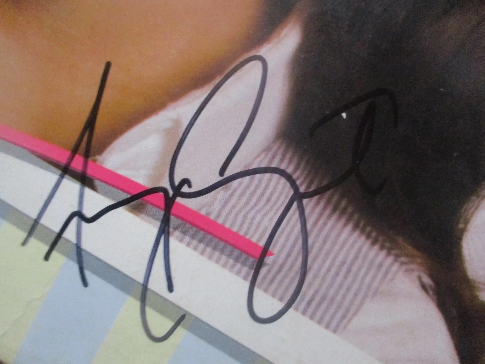 AMY GRANT AUTHENTIC SIGNED/AUTOGRAPHED MY FATHERS EYES VINYL RECORD ALBUM, изображение 3