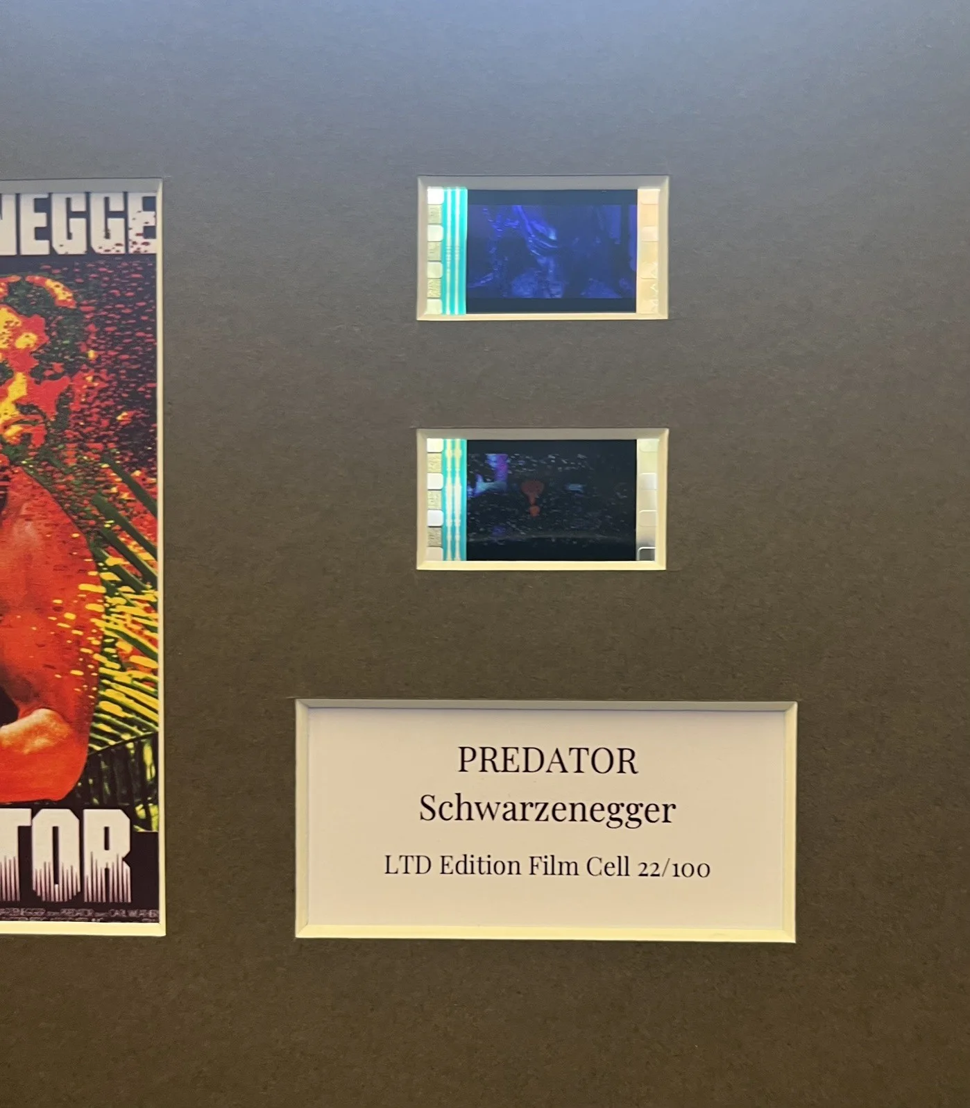 PREDATOR. Arnold Schwarzenegger 35mm Film Cell Mounted Display, image 3