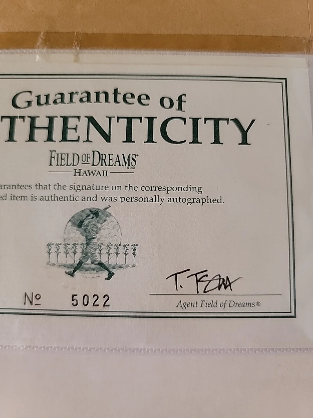 JODY FOSTER — 15 X 12 In JODY FOSTER SIGNED FRAMED AUTOGRAPH PHOTO Field Of Dreams Hawaii COA, изображение 5