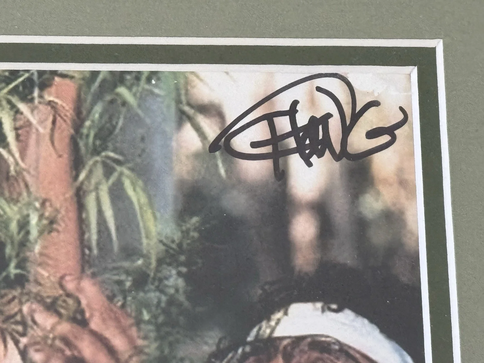 Cheech and Chong Auto Signed 15x18 Professional Framed Matted Photo JSA Cert, image 2