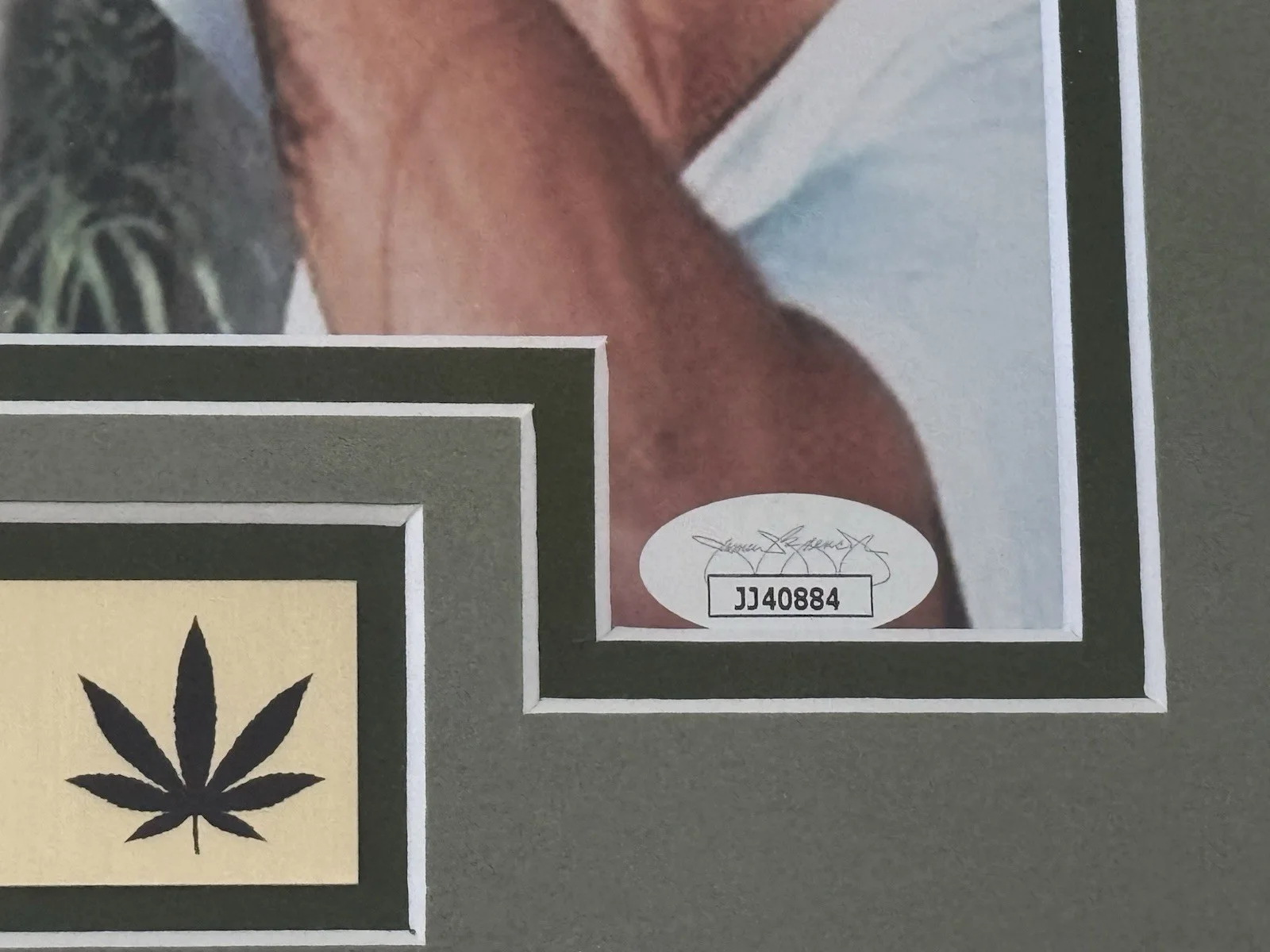 Cheech and Chong Auto Signed 15x18 Professional Framed Matted Photo JSA Cert, image 4