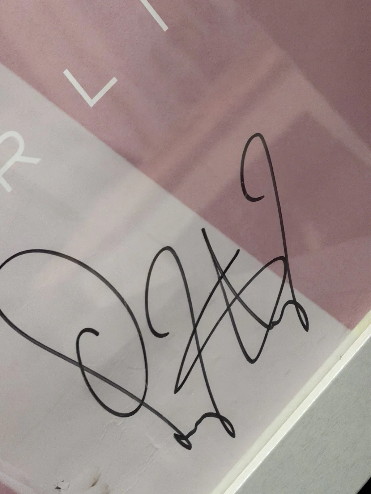 LINDSEY STIRLING Warmer In The Winter Tour SIGNED Poster, изображение 2
