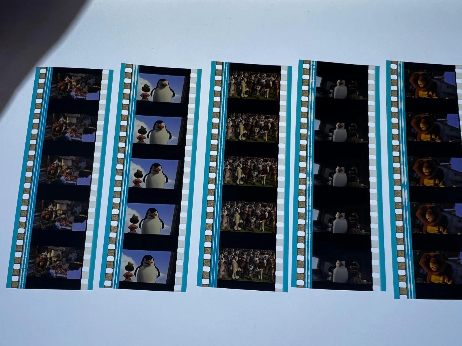 Madagascar 2 35mm Film Cells Strips - 5 Strips of 5 Cells FREE P&P, изображение 2