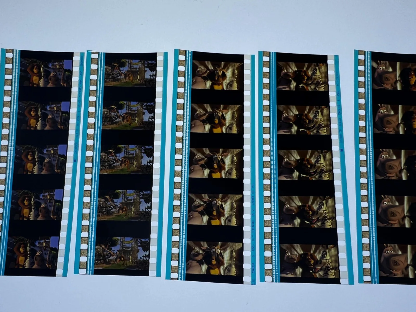 Madagascar 2 35mm Film Cells Strips - 5 Strips of 5 Cells FREE P&P, изображение 3