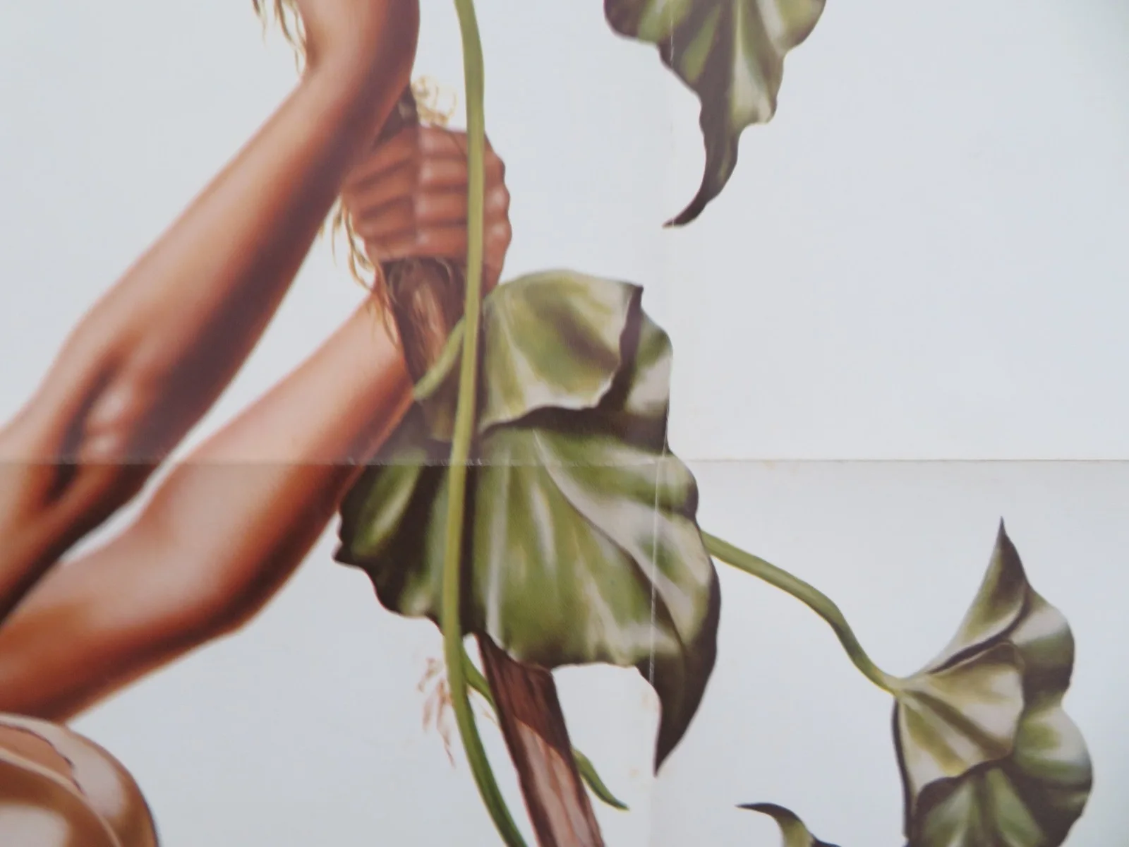Tarzan, The Ape Man Folded US One Sheet Poster Bo Derek Richard Harris 1981, изображение 3